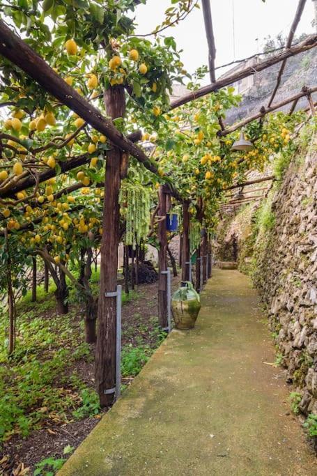 #La Limonaia Della Torretta Villa Minori Exterior photo