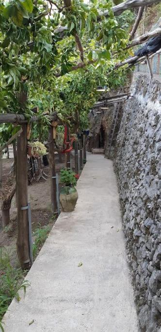 #La Limonaia Della Torretta Villa Minori Exterior photo