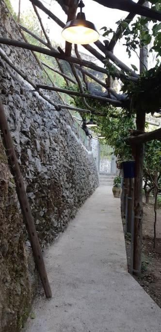#La Limonaia Della Torretta Villa Minori Exterior photo