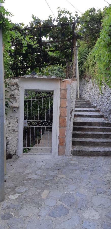 #La Limonaia Della Torretta Villa Minori Exterior photo