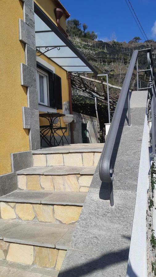 #La Limonaia Della Torretta Villa Minori Exterior photo